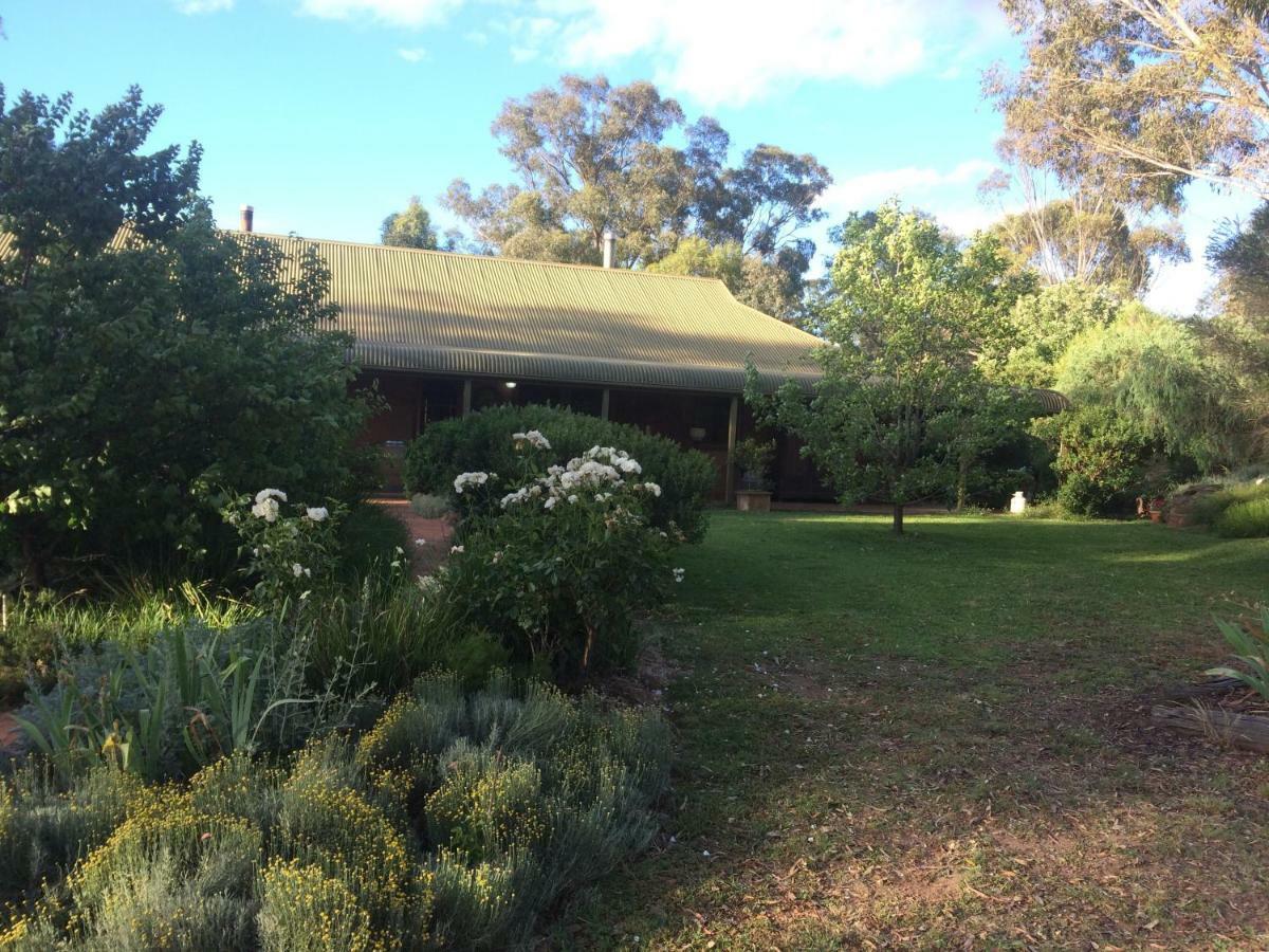 Wildwood Guesthouse Mudgee Exterior foto